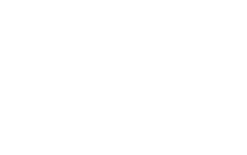 Punch List Team